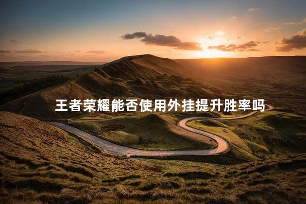 王者荣耀外挂-王者荣耀能否使用外挂提升胜